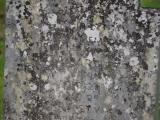 image of grave number 967024